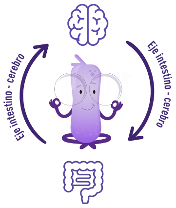 Figura explicativa cerebro-intestino
